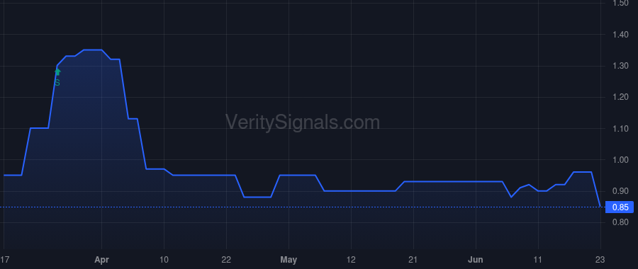 BMNM price after insider trade by Haas G Hunter IV