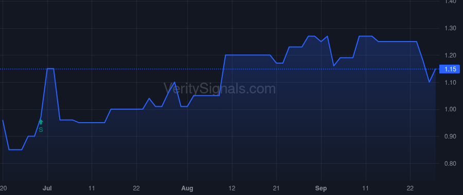BMNM price after insider trade by Haas G Hunter IV