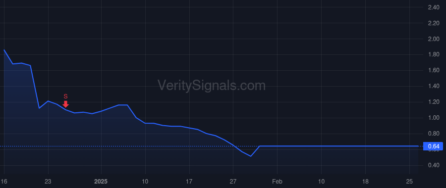 HYZN price after insider trade by Meeks Parker Stewart
