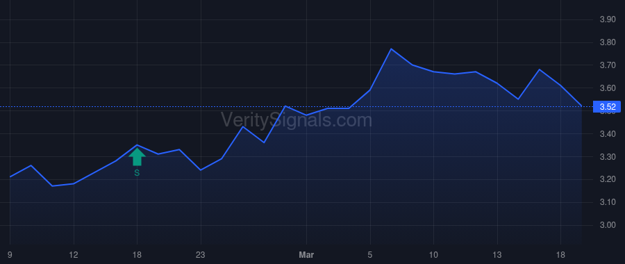 NTWK price after insider trade by GHAURI NAJEEB