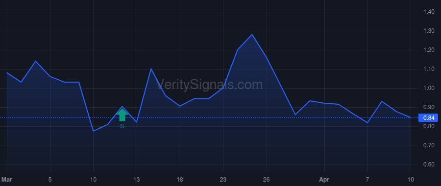 ORBS price after insider trade by BITMINE IMMERSION TECHNOLOGIES, INC.