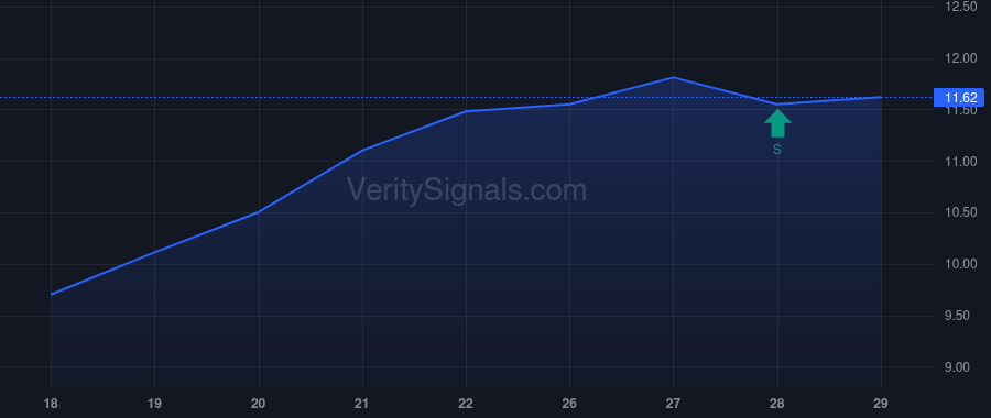 STRR insider trade chart
