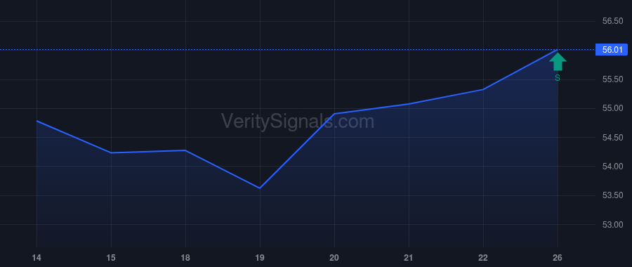 TBBK insider trade chart